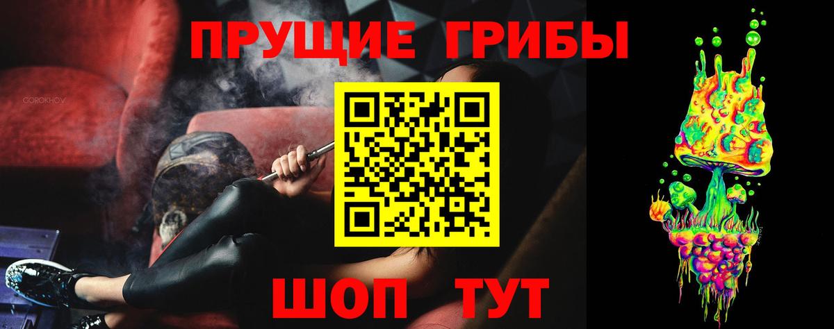 Псилоцибиновые грибы GOLDEN TEACHER  Галлюциногенные грибы мицелий  Вход с VPN  Заречный 